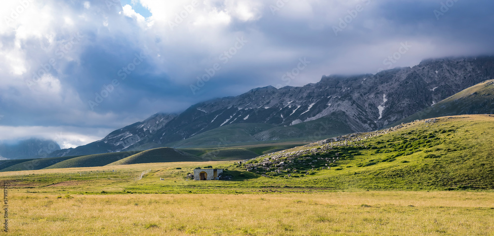 Weite wiesen mit Schafherde vor einem Bergmassiv in Italien 