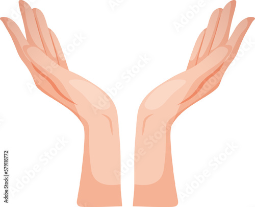 Vector image of hands pointing up. Two hands on a transparent background