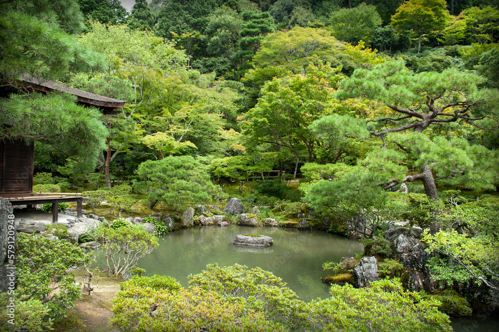 Naturaleza japonesa