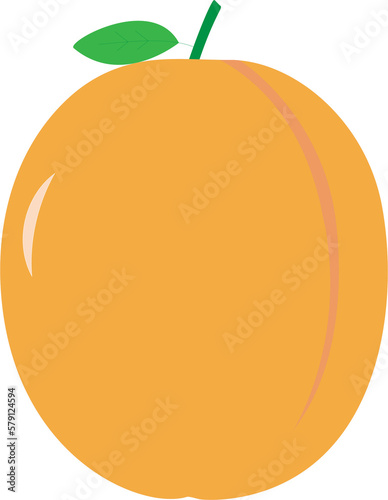 apricot vector icon