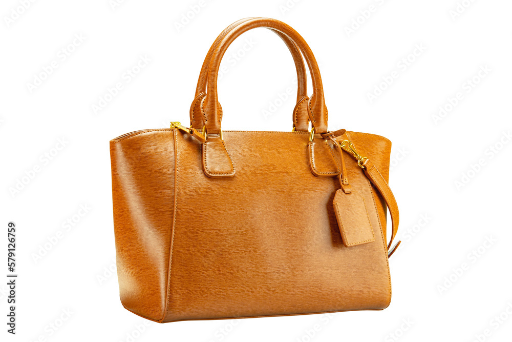 Leather bag isolated. Fashionable brown female elegant luxury women handbag isolated on a white background. Clipping path. Woman trendy accessories. Leather bag isolated. Fashionable brown female elegant luxury women handbag isolated on a white background. Clipping path. Woman trendy accessories.