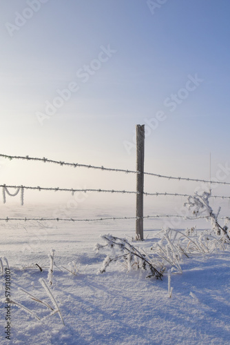 barbed wire fence in winter