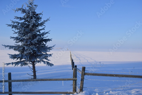 landscape with snow and fog 