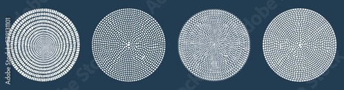 Set of Vector Round Structure Set - Abstract Generative Circle Design Elements  
