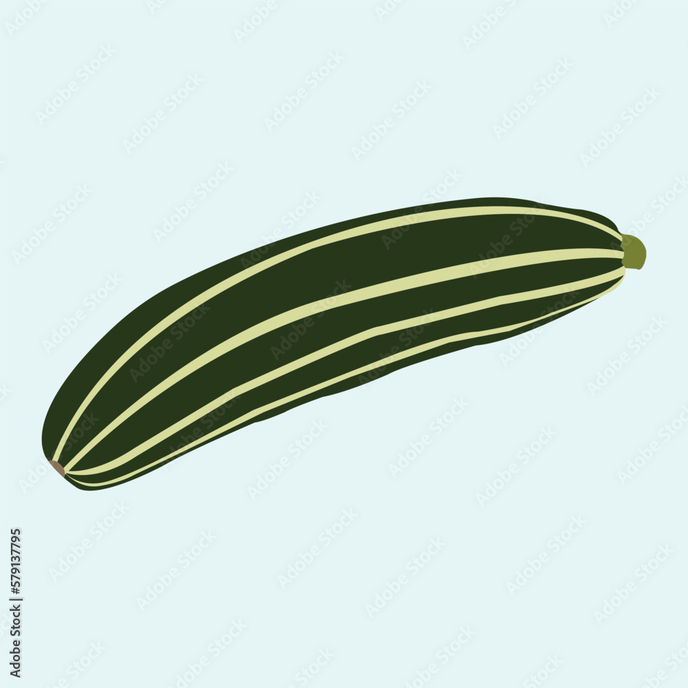 Illustration of a beautiful and green Cucumber Illustration of a beautiful and green Cucumber