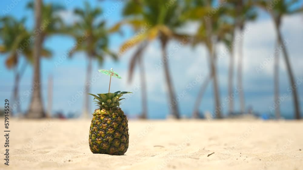 Vidéo Stock Pina Colada cocktail with umbrella in natural pineapple on