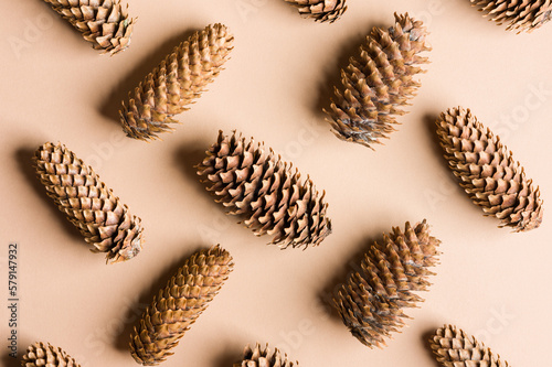A group of long pinecones arranged in a pattern on a flat, solid, light background