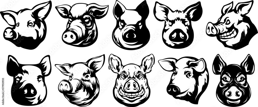 Pig head mascot. Swine logo. Hog illustration set.