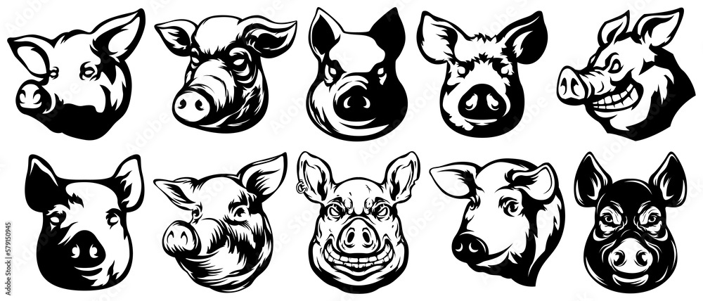 Pig head mascot. Swine logo. Hog illustration set.