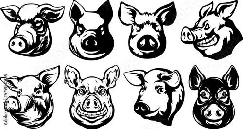 Pig head mascot. Swine logo. Hog illustration set.
