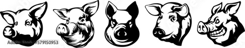 Pig head mascot. Swine logo. Hog illustration set.