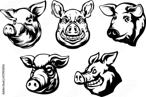 Pig head mascot. Swine logo. Hog illustration set.