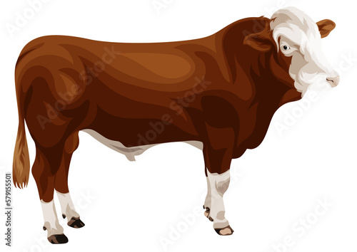Obraz na plátne SKIPPER breeder cattle incemination isolated