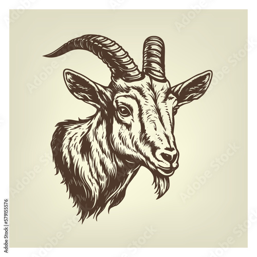 Hand drawn Goat Head illustration. Vintage woodcut engraving style vector illustration.	