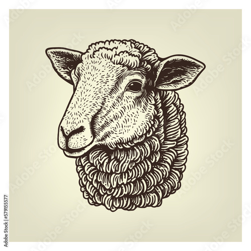 Hand drawn sheep illustration. Vintage woodcut engraving style vector illustration.	
