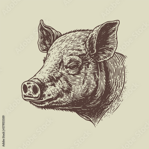 Hand drawn Pork Head illustration. Vintage woodcut engraving style vector illustration.	
