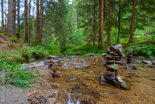 fairy wood in the morning, dirt road in a sunny green forest, rocks in the river, Cierny Balog, Slovakia, Europe photo