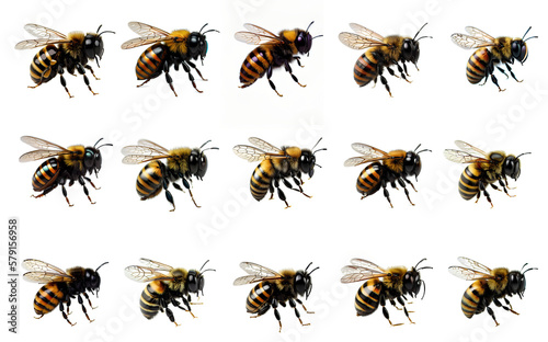 Bee background. Bee Illustrations, 3d Rendering of Bees white background. Colorful bees flying background summer. Digital illustration of bees. Isolated on clear, white background. Different bees. © Noah