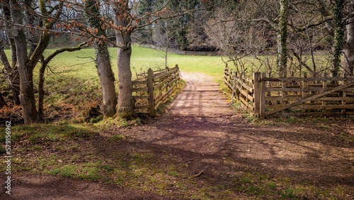 Small wooden bridge and path in the woods
