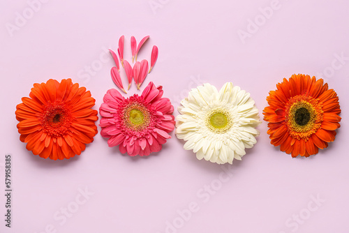 Composition with beautiful gerbera flowers and petals on lilac background
