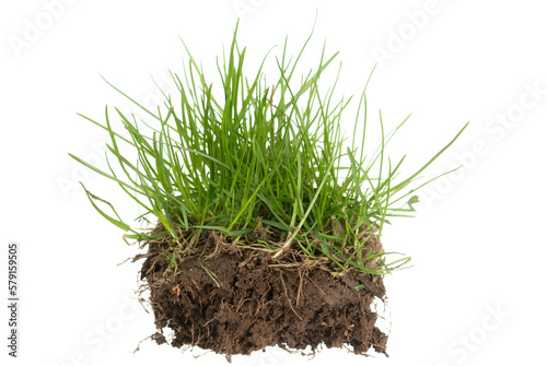 Grass and ground isolated on white background