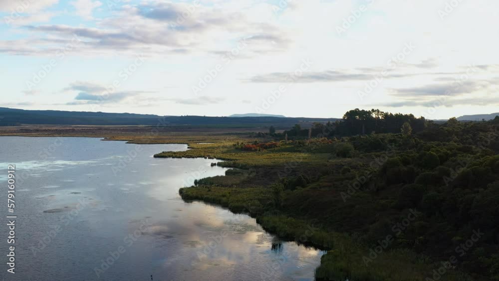 Drone, aerial shot of Lake Rotoaira, Tongariro National Park, New Zealand, Pacifica