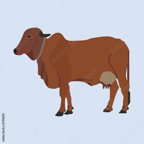  Illustration of a beautiful and cute Milk Cow