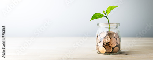 Plant Growing Out Of Coin Jar On Table In Office With Soft Grey Background - Investing And Business Success Concept	
