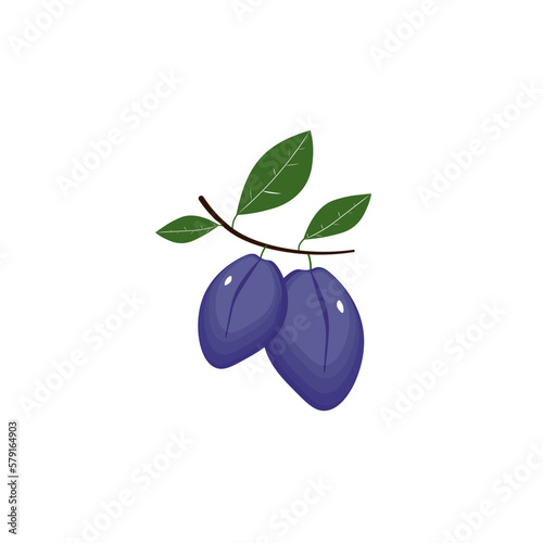two plums.vector illustration of fruits and plants