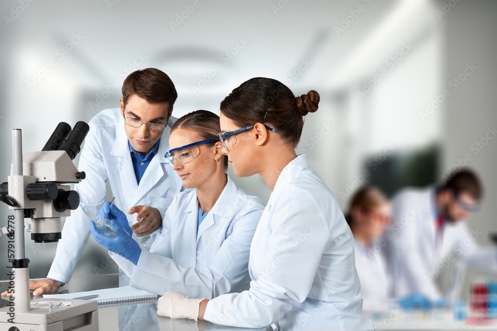 Fototapeta premium Science Laboratory, Scientist work with Microscope, Doing Analysis.