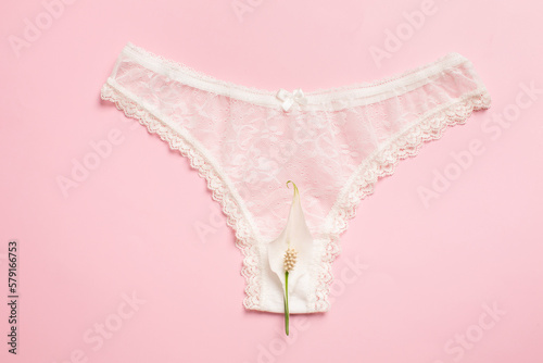 The concept of the reproductive organs of a woman, the vagina in the form of panties.