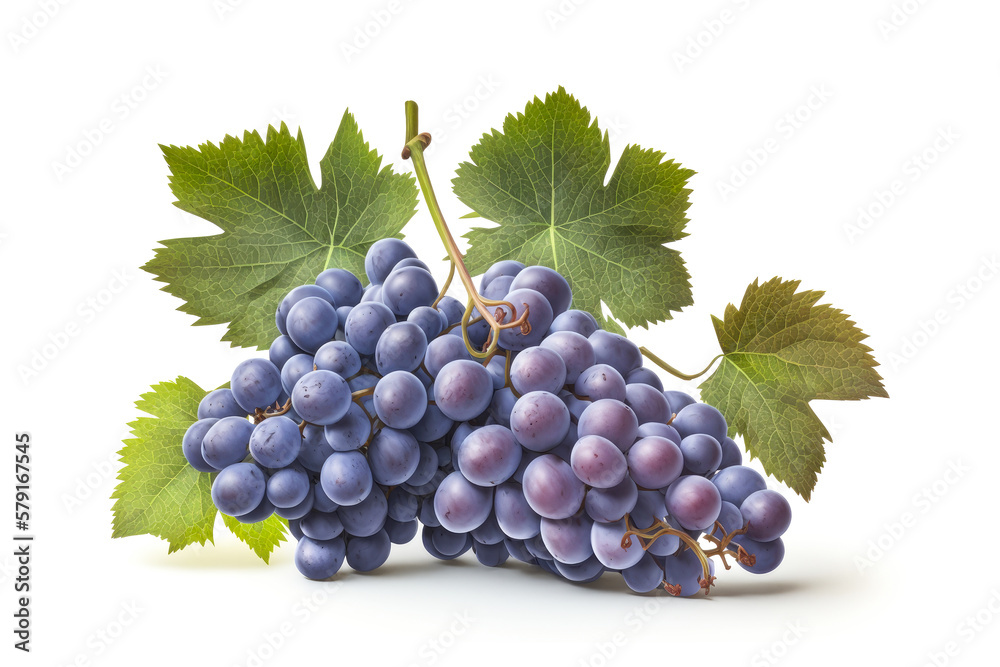 Fototapeta premium Bunch of ripe, juicy, blue grapes with leaves on a white background. Fruits isolated on a white background. Generative AI