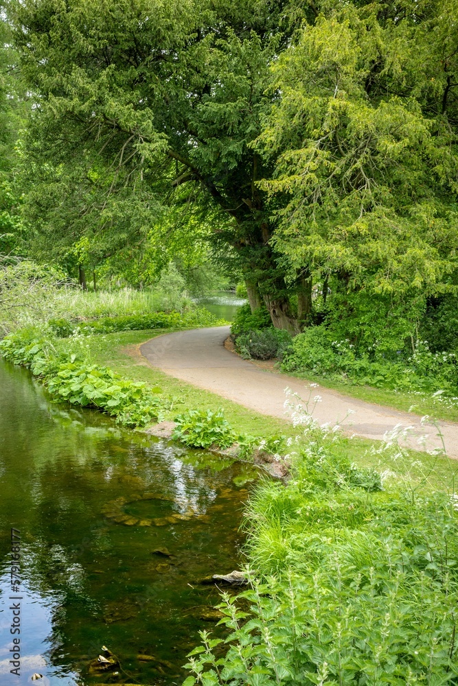Naklejka premium woodland path near a pond with underwater well at Country Parkriver in the woods