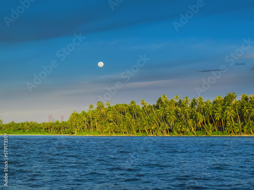 Palm trees along a tropical island with full moon photo
