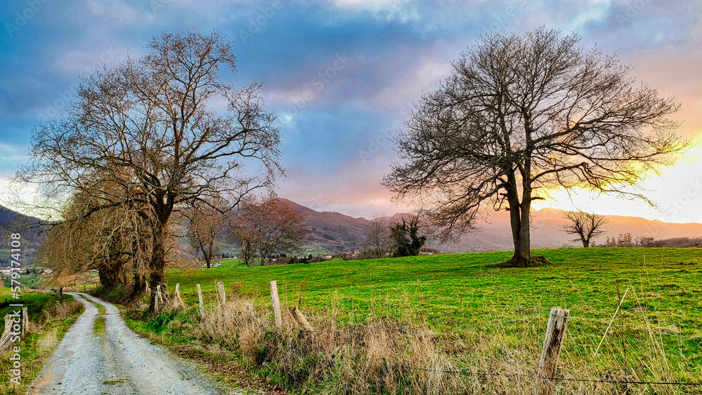 Obraz premium Trail, meadows and rural landscape near Ceceda village, Nava municipality, Asturias, Spain