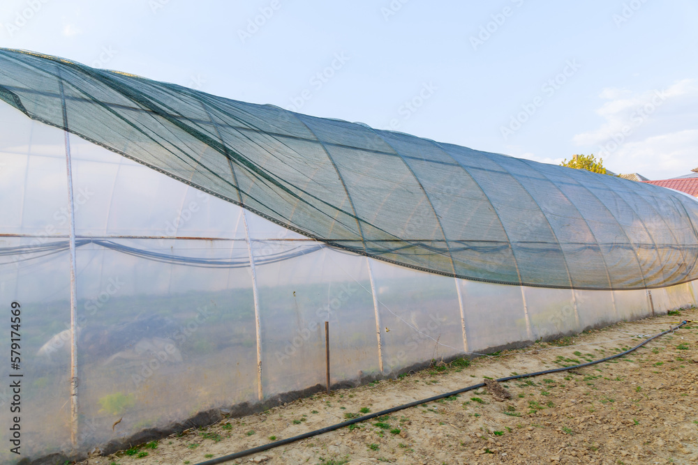 Shading green net on the greenhouse, artificial protection of plants from the sun. Shading green net on the greenhouse, artificial protection of plants from the sun.
