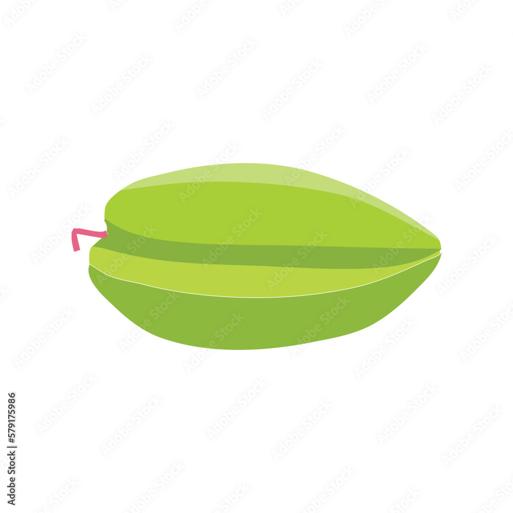 A beautiful green Starfruit vector art work. A beautiful green Starfruit vector art work.