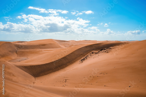 Picturesque view of Maspalomas sand dunes desert on a bright sunny day with sea and cloudy sky in background at Gran Canaria