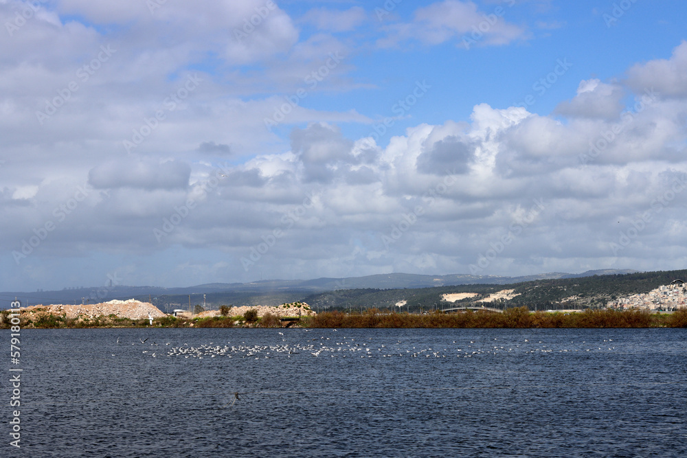 Cloudy blue sky, still blue river water, sunny calm day photo. Nature of Israel. Spring in Middle East. Cloudy blue sky, still blue river water, sunny calm day photo. Nature of Israel. Spring in Middle East.