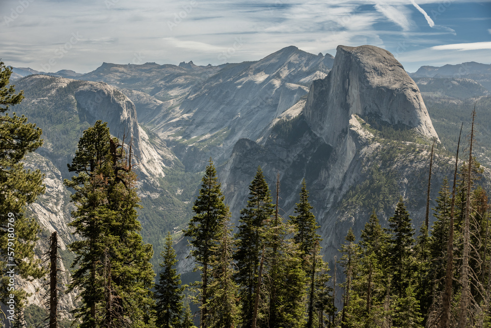 Line Of Trees Stand Guard Over Half Dome