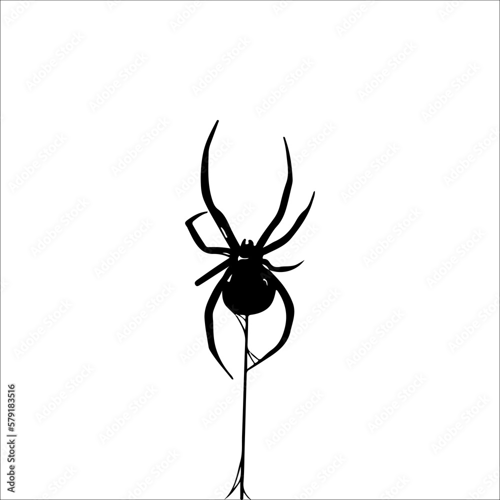 vector illustration of a black spider with a web vector illustration of a black spider with a web