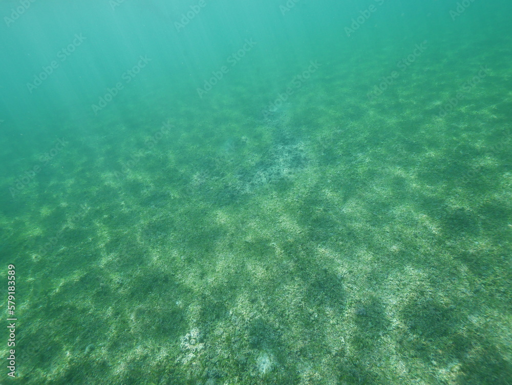Fototapeta premium caribbean sea split level ocean