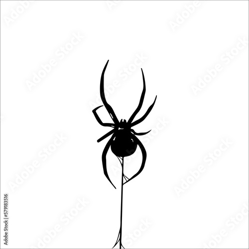 vector illustration of a black spider with a web