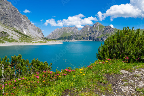 Lünersee, Brandnertal, State of Vorarlberg, Austria, Alpine Rose or Rhododendron (Alpenrosen) in the foregroud