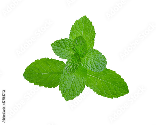 peppermint on transparent png