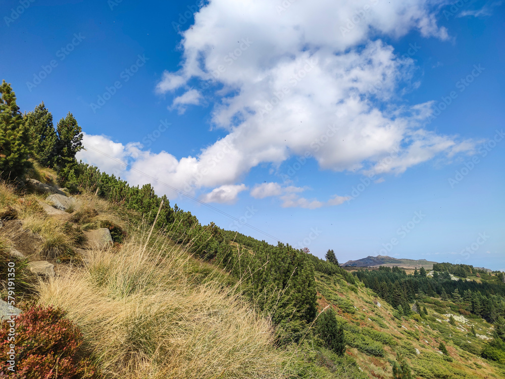 Autumn view of Vitosha Mountain, Bulgaria Autumn view of Vitosha Mountain, Bulgaria