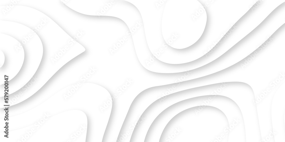 Abstract Luxury paper cut background, Abstract decoration, white pattern lines gradients, 3d Vector illustration, topographic canyon map light relief texture, curved layers. Abstract Luxury paper cut background, Abstract decoration, white pattern lines gradients, 3d Vector illustration, topographic canyon map light relief texture, curved layers.