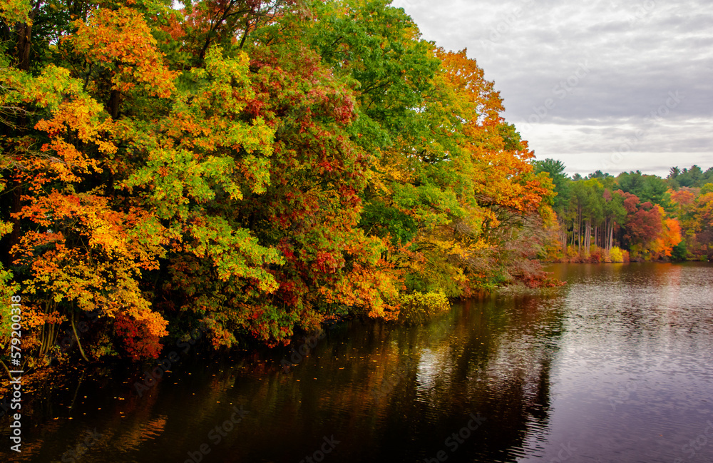 fall foliage in new england fall foliage in new england