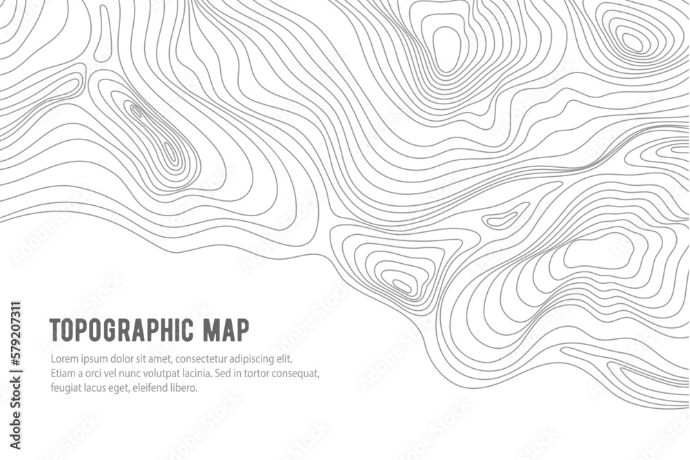 Topographic map, grid, texture, relief contour of terrain. Vector pattern background with mountains and flat land wavy line contours. Abstract monochrome topographic map, topography, cartography theme - obrazy, fototapety, plakaty 
