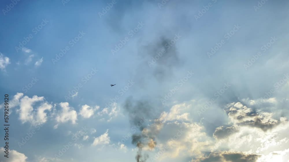 Bird wildlife flying in industry area, gas flare smokestack emissions in sky Bird wildlife flying in industry area, gas flare smokestack emissions in sky